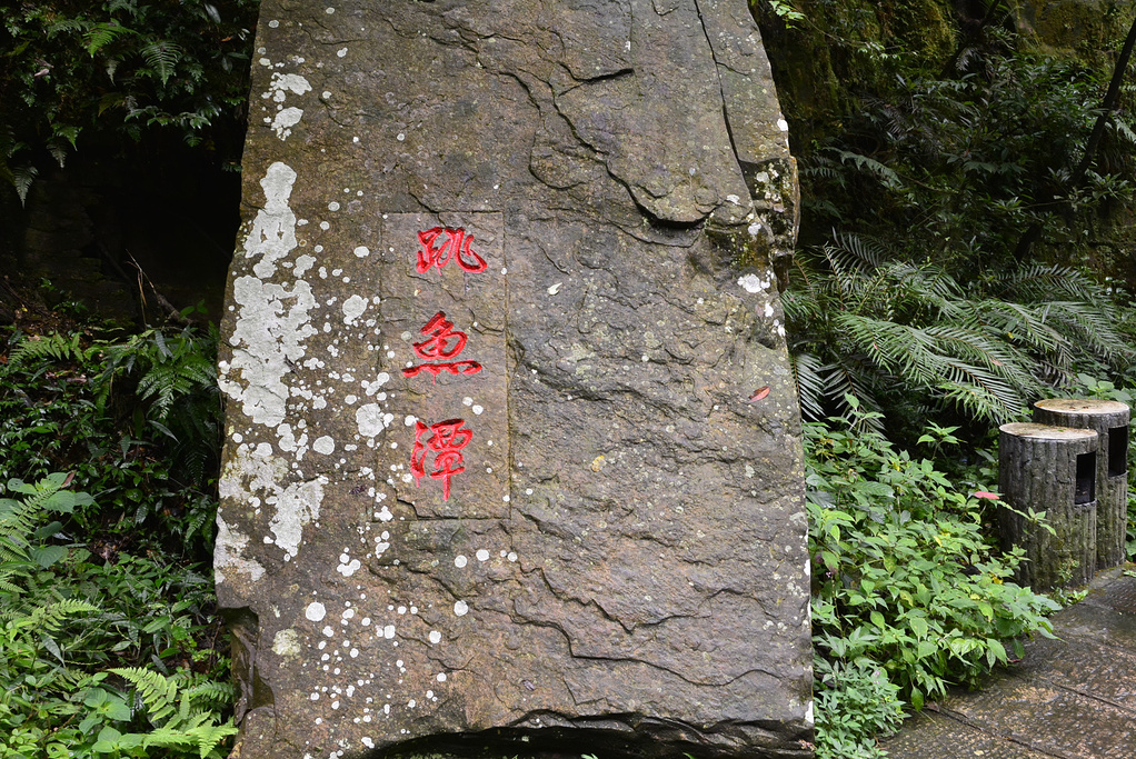 张家界旅游报价 - 跳鱼潭