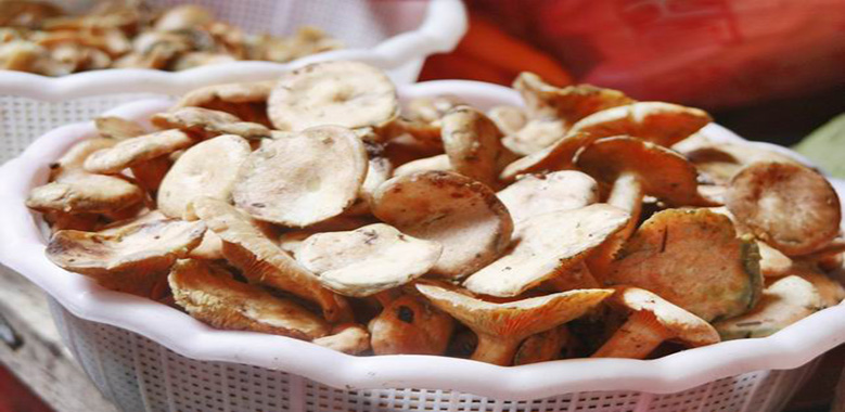 张家界旅游报价 - 枞菌