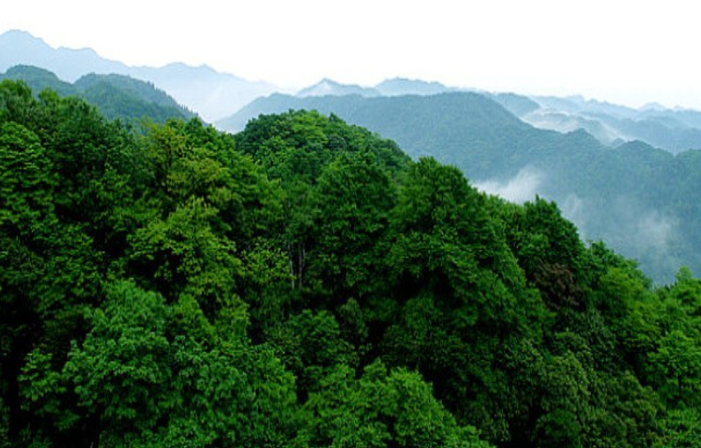 张家界天气 - 八大公山自然保护区