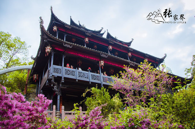 说说这次旅行图片