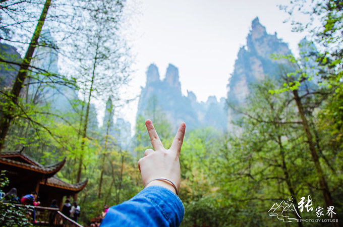 说说这次旅行图片