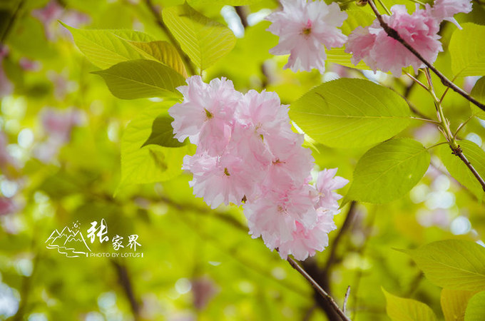 说说这次旅行图片 说说这次旅行图片