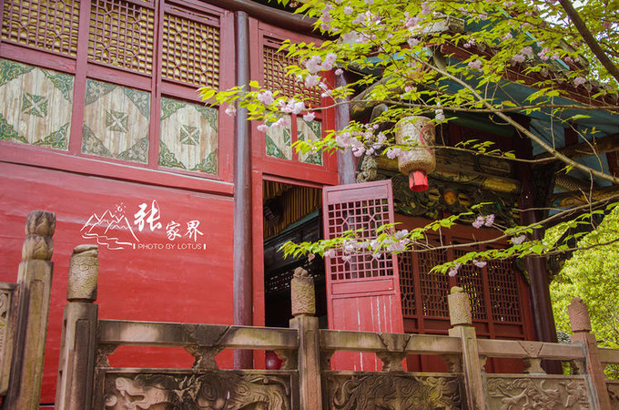 说说这次旅行图片 说说这次旅行图片