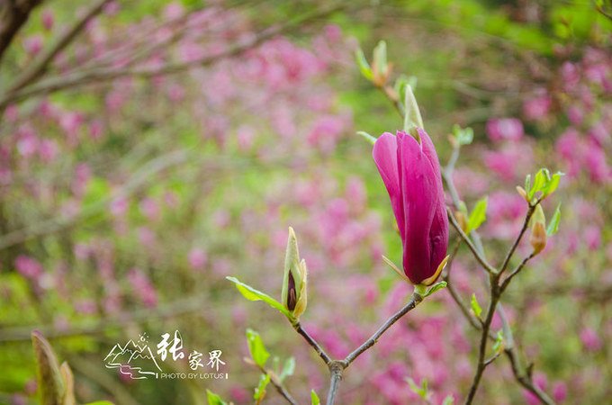 说说这次旅行图片 说说这次旅行图片