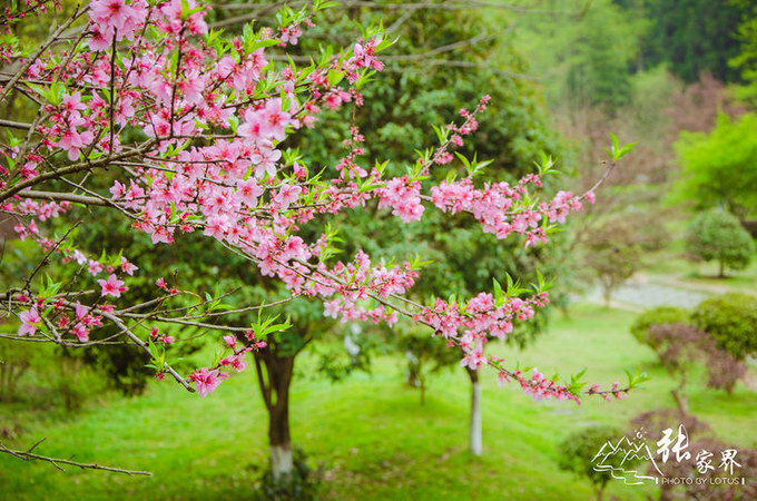 说说这次旅行图片 说说这次旅行图片