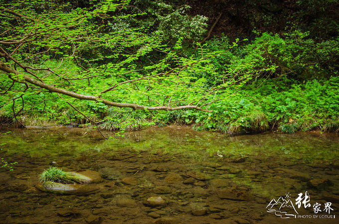 说说这次旅行图片 说说这次旅行图片