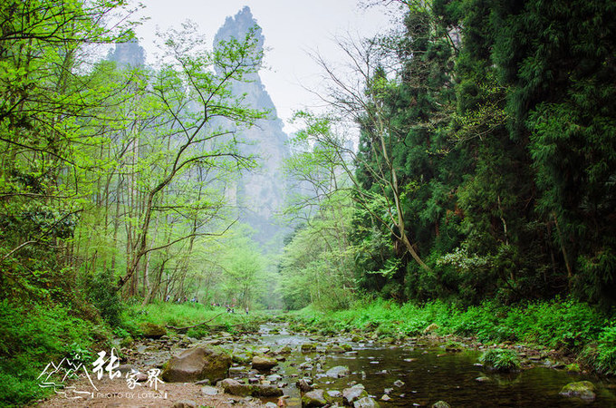 说说这次旅行图片 说说这次旅行图片
