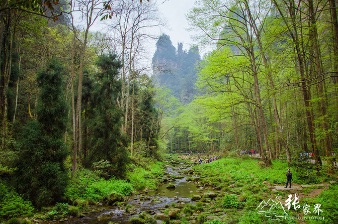 说说这次旅行图片 说说这次旅行图片