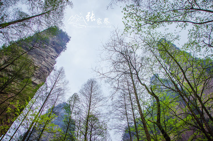 说说这次旅行图片 说说这次旅行图片