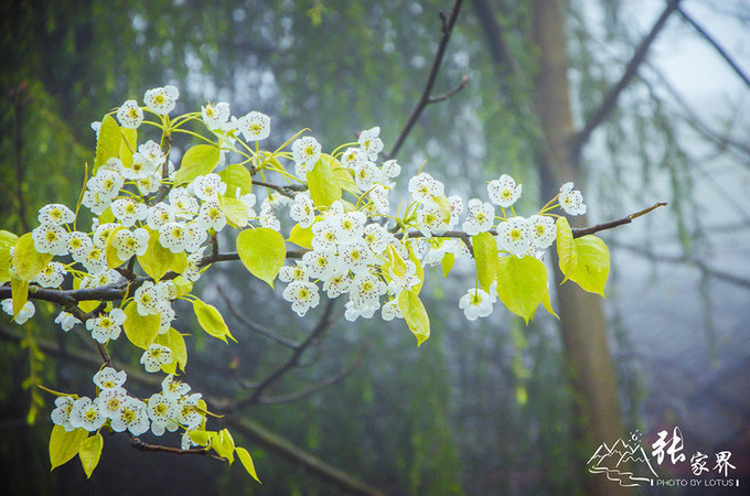 说说这次旅行图片 说说这次旅行图片