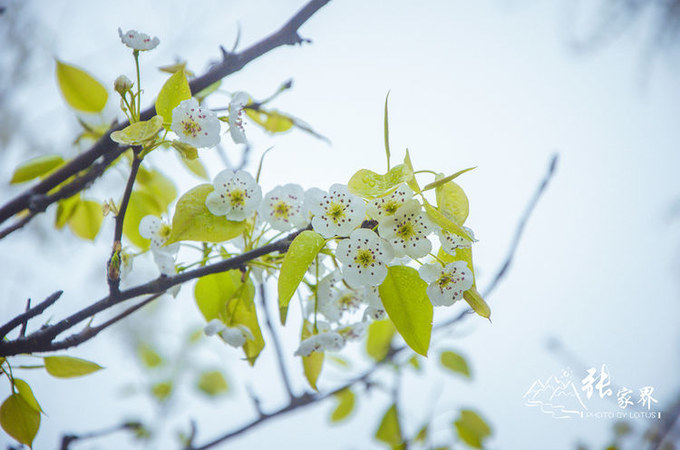 说说这次旅行图片 说说这次旅行图片
