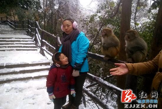 张家界旅游必看 - 武陵源：改善景区生态环境 护世界遗产“原貌”