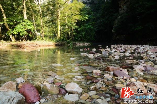 张家界旅游攻略自由行三天 - 避暑游升温 张家界金鞭溪景区游人如织