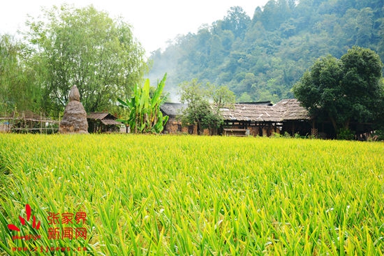 1473153189164639.jpg DSC_9737_副本.jpg