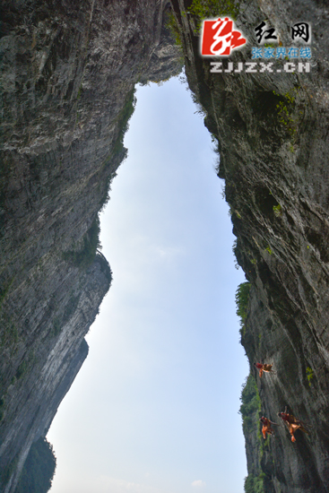 张家界旅游报价 - 翩跹云界 极限飞天 张家界天门山千米峭壁上演惊艳悬崖舞蹈秀