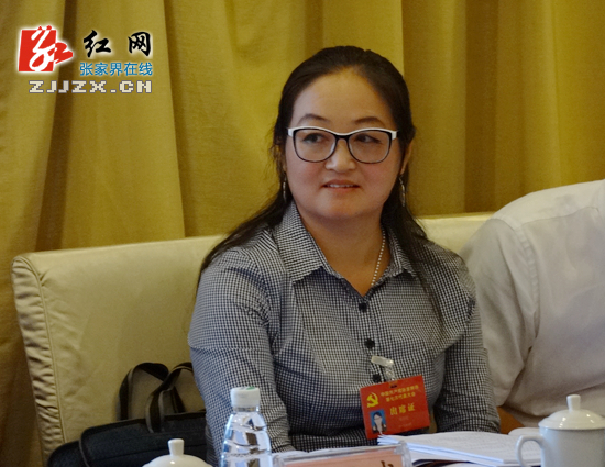 张家界旅游路线 - 【乘势而上张家界】党代表马卫红：倡导旅游文明建设 提升张家界旅游竞争软实力