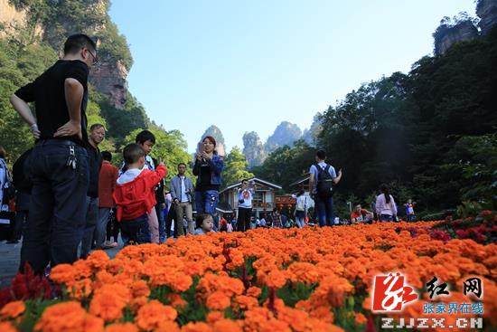 张家界旅游价格 - 【黄金周时刻】天气好 车位多 房源足 武陵源迎来天下客