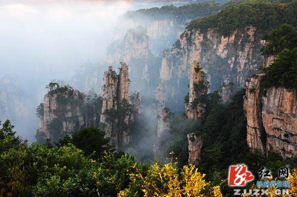 张家界旅游门票 - 【黄金周时刻】张家界天子山景区现秋日云海奇观