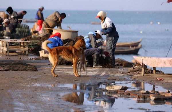 张家界旅游攻略自驾行 - 美媒：过度捕捞建度假村，中国传统渔村濒亡