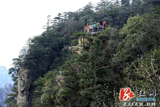 张家界旅游攻略自由行三天 - 武陵源：节后旅游持续升温
