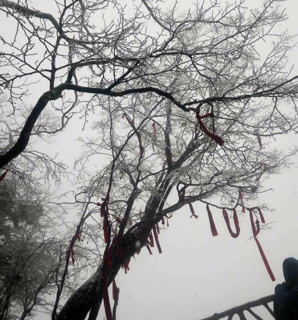 张家界旅游跟团 - 张家界景区迎来今年首场新冬瑞雪