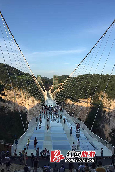 张家界自助游 - 张家界大峡谷玻璃桥即将上演耐寒耐热大挑战