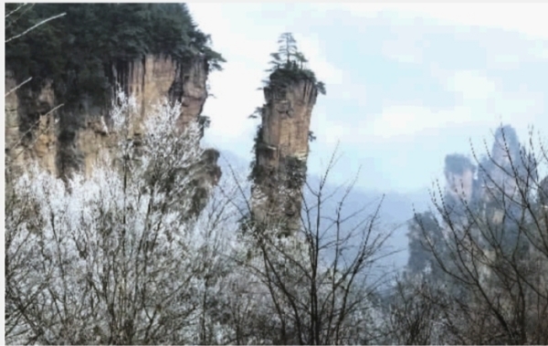 张家界门票 - 11日张家界武陵源迎新年第一场雪 现雾凇冰挂景观