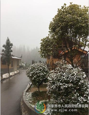 张家界旅游路线 - 瑞雪迎新春 袁家界景区下雪啦