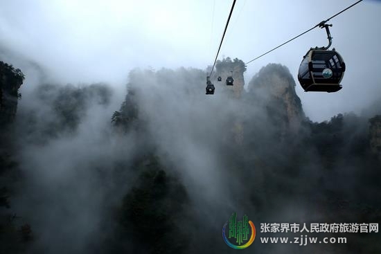 张家界旅游报价 - 春节黄金周武陵源景区交通工具实现安全无事故