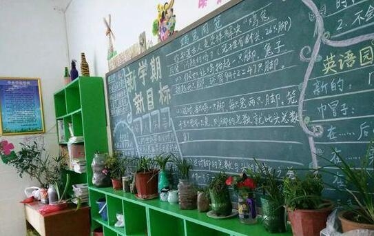 张家界旅游报价 - 张家界国家森林公园学校开展盆栽养护活动