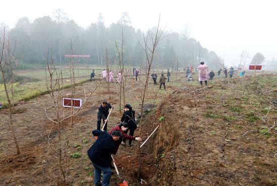 张家界旅游路线 - 武陵源区：众人植绿添新彩
