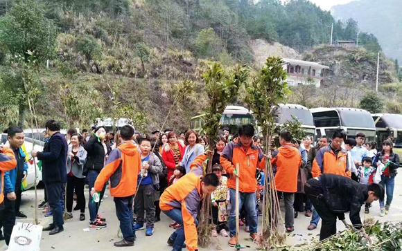 张家界旅游攻略自由行三天 - 热心网友赴老道湾度假景区开展植树活动 全民共建生态绿色家园