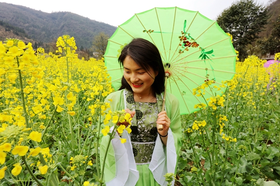 张家界旅游旺季 - 黄龙洞景区春色满园获游客盛赞