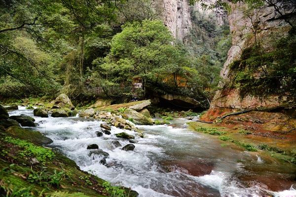张家界旅游报价 - 雨洗青山山添翠 张家界武陵源春汛期间旅游秩序井然