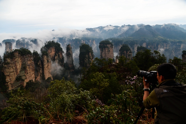 张家界旅游价格 - 黄石寨景区雨后放晴云海撩人