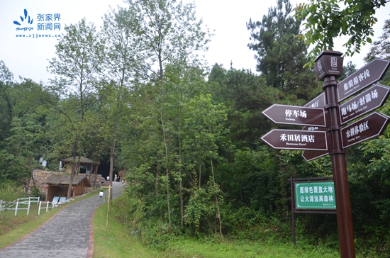 张家界旅游路线 - 发展全域旅游，贫困户搭上旅游扶贫“快车”