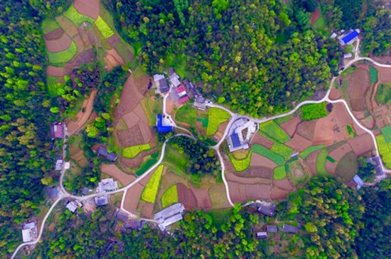 张家界 - 武陵源区双文村:乡村描绘新画卷