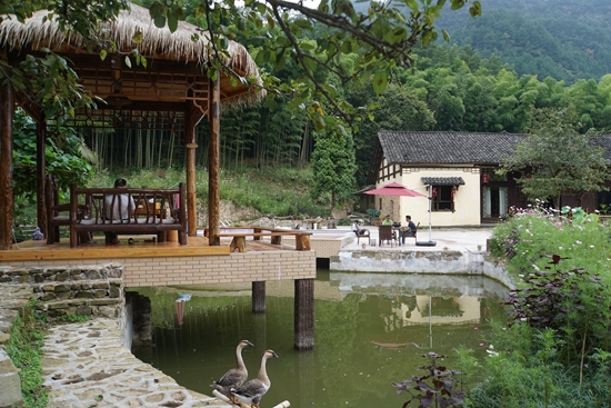 张家界旅游天气预报 - 【砥砺奋进的五年·武陵源脚步】春风吹拂锣鼓塔——武陵源区锣鼓塔街道发展纪事