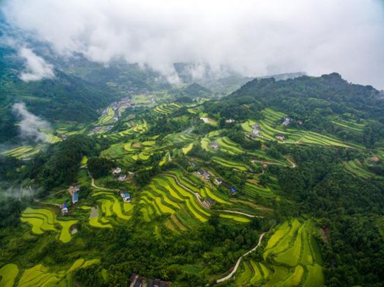 张家界旅游天气预报 - 【砥砺奋进的五年·武陵源脚步】魅力中湖初长成——中湖乡五年工作侧记