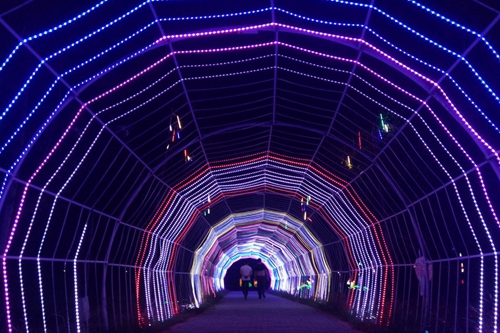 张家界 - 光影中的琵琶花海