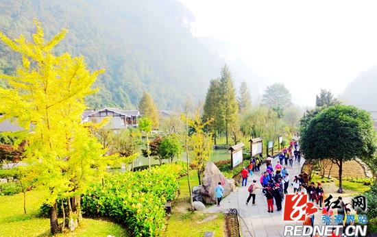 张家界旅游路线 - 1500人团队盛赞黄龙洞景区