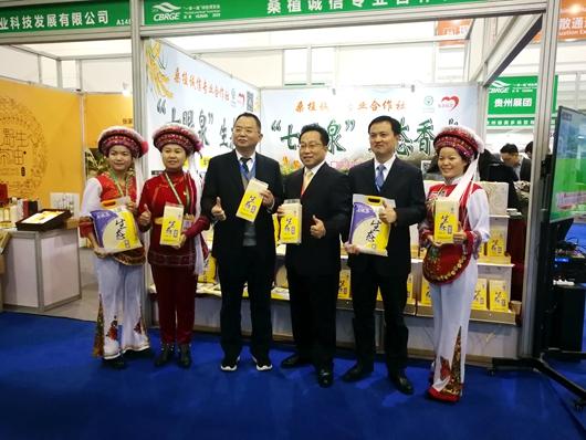 张家界旅游价格 - 绿色产业展示健康张家界——张家界市代表团亮相2019湖南“一带一路”绿色博览会