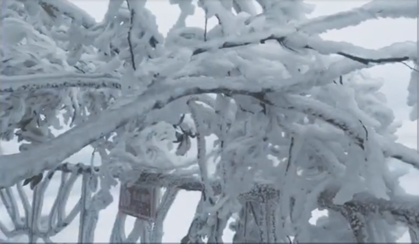 张家界旅游必看 - 天门山：迎新年首场降雪 雪俏枝头游人乐