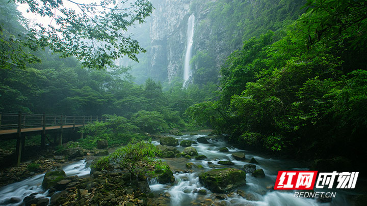 DH9A4190-.jpg DH9A4190-.jpg