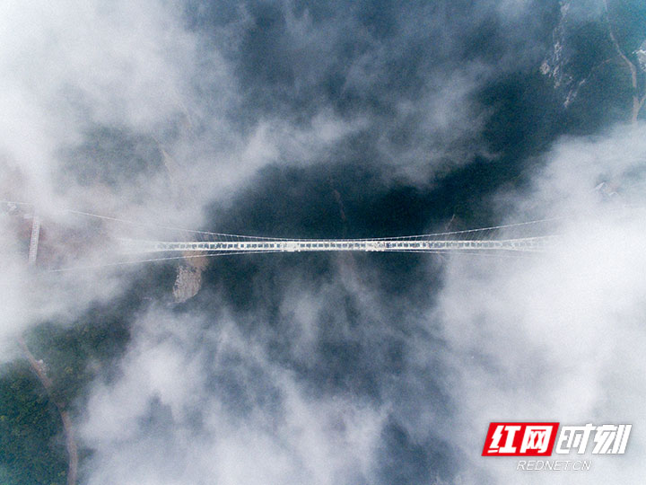 DJI_0006-.jpg DJI_0006-.jpg