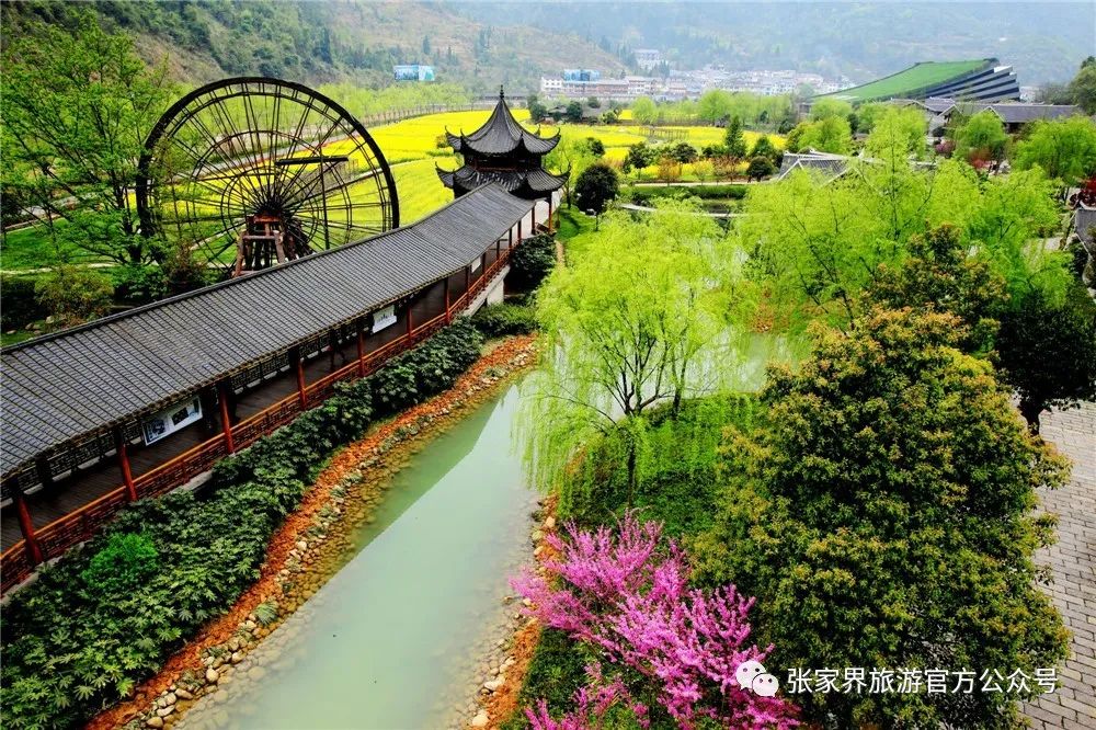 640-12.jpeg 640-12.jpeg