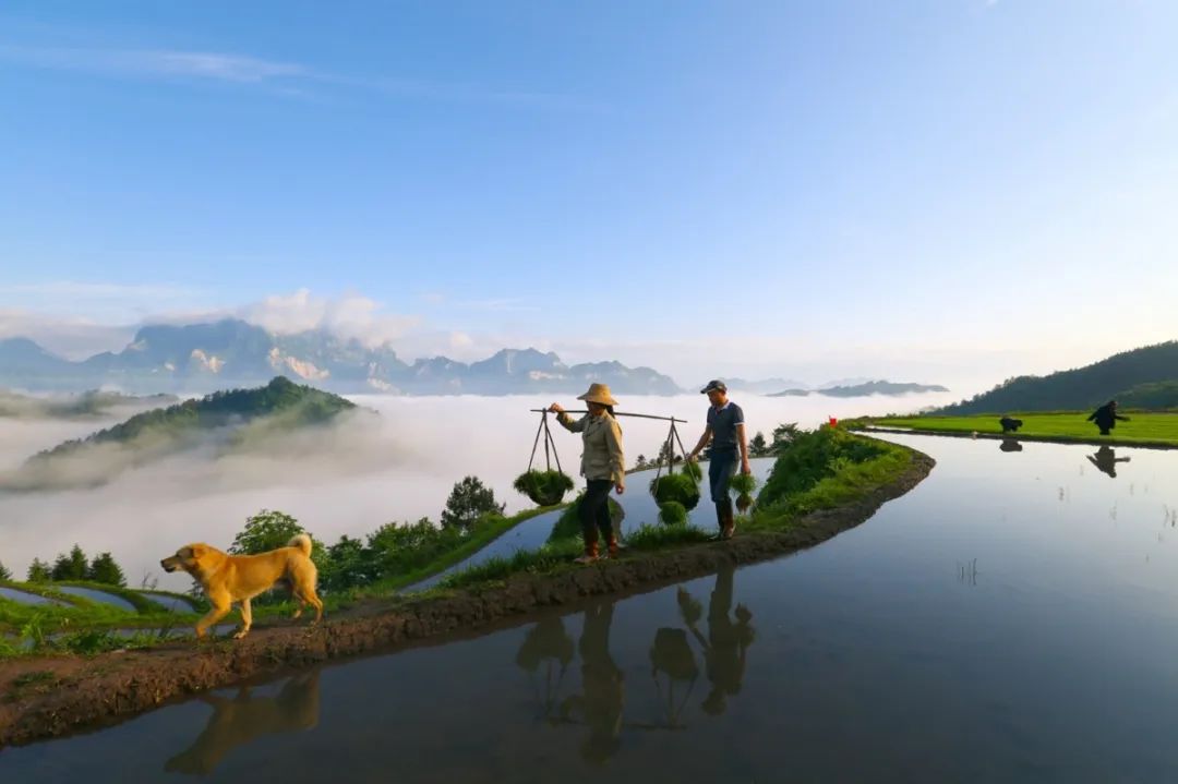 640-4.jpeg 640-4.jpeg