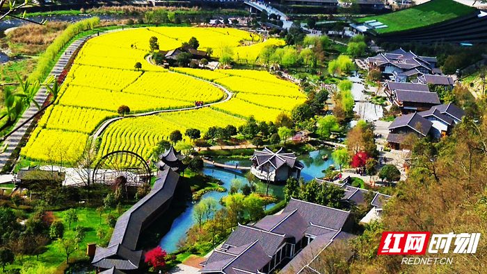 IMG_20150321_102928_副本.jpg IMG_20150321_102928_副本.jpg