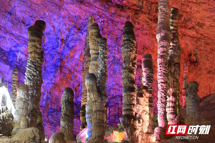 DSC_3374_副本.jpg DSC_3374_副本.jpg