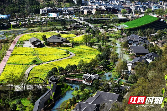 DSC_8182_副本.jpg DSC_8182_副本.jpg